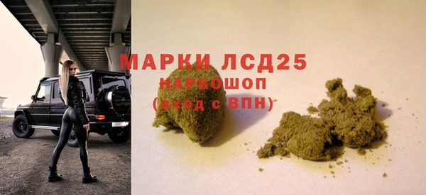 стаф Медногорск