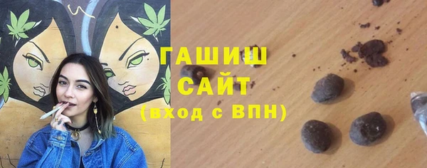 стаф Медногорск
