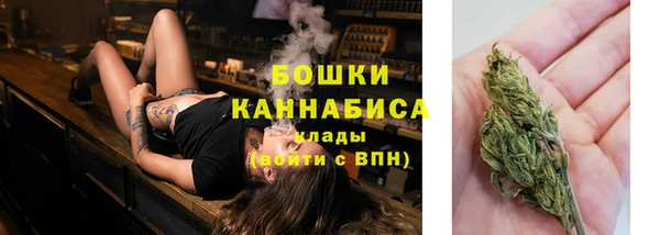 ешки Мегион
