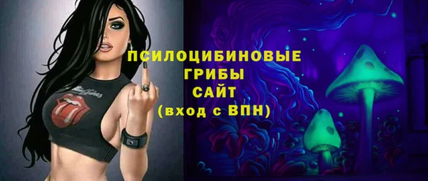 стафф Медвежьегорск