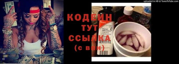 стаф Медногорск