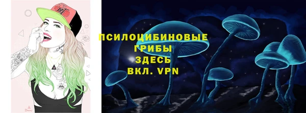 стаф Медногорск