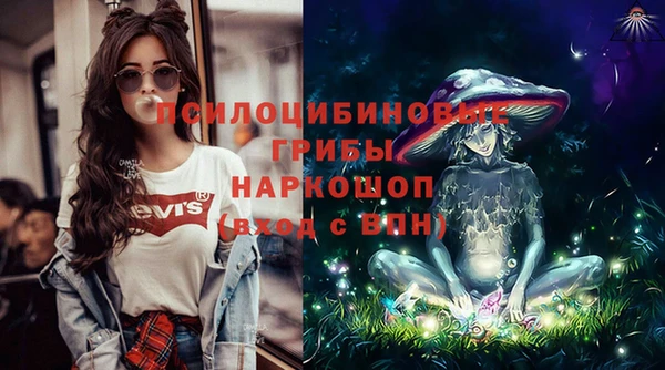 стаф Медногорск