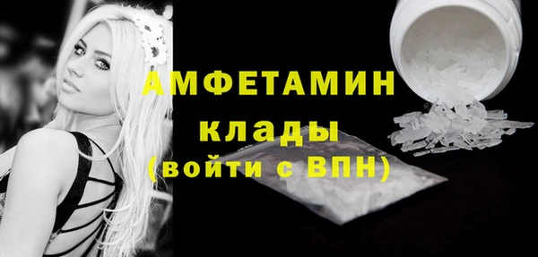 стаф Медногорск