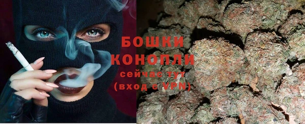 стаф Медногорск