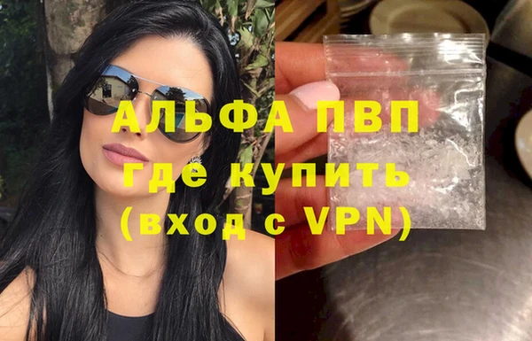 стафф Медвежьегорск