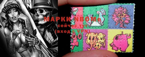 стаф Медногорск