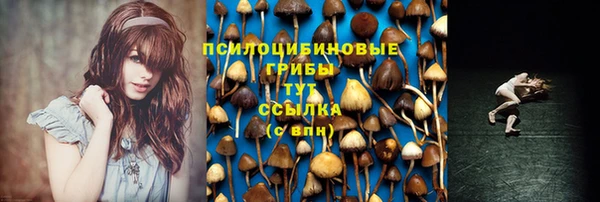 ешки Мегион