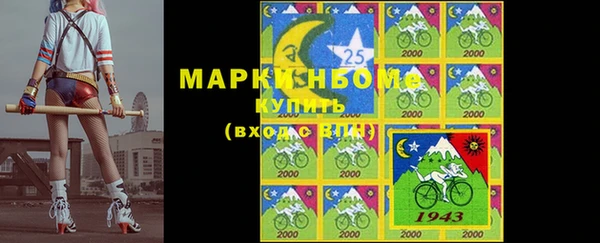 стаф Медногорск